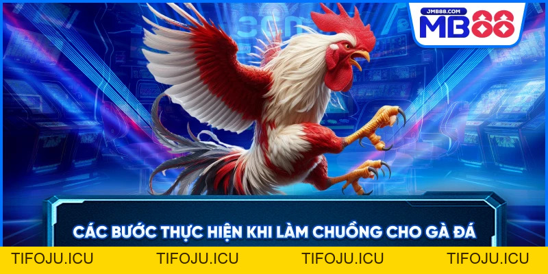 Hướng Dẫn Làm Chuồng Chạy Cho Gà Đá Từ Kinh Nghiệm Sư Kê