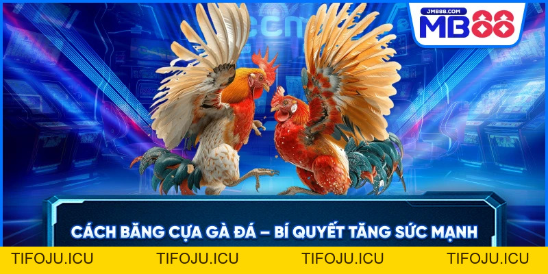 Đá Gà MB88 – Cá Cược Trực Tiếp Đỉnh Cao Uy Tín