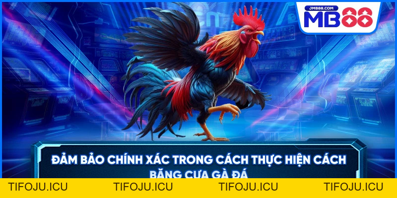Cách Băng Cựa Gà Đá – Bí Quyết Tăng Sức Mạnh
