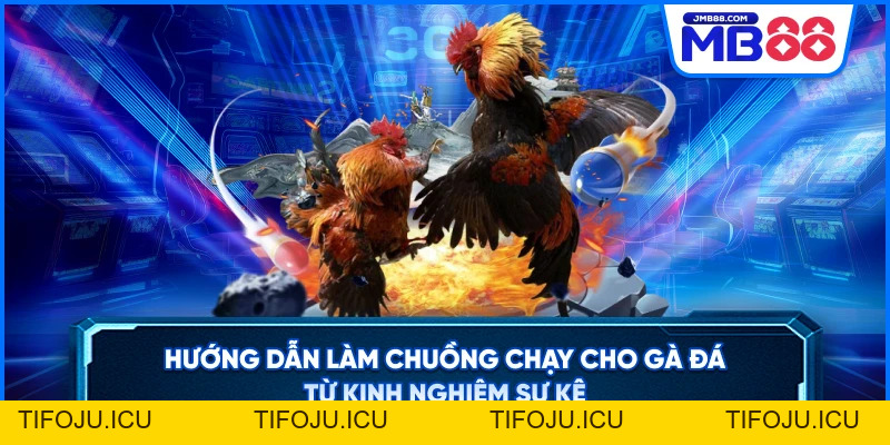 Đá Gà MB88 – Cá Cược Trực Tiếp Đỉnh Cao Uy Tín