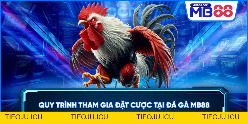 Đá Gà MB88 – Cá Cược Trực Tiếp Đỉnh Cao Uy Tín