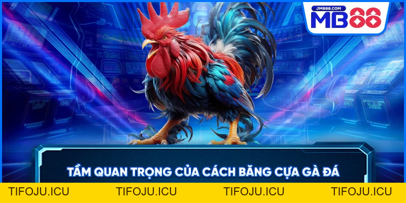 Cách Băng Cựa Gà Đá – Bí Quyết Tăng Sức Mạnh