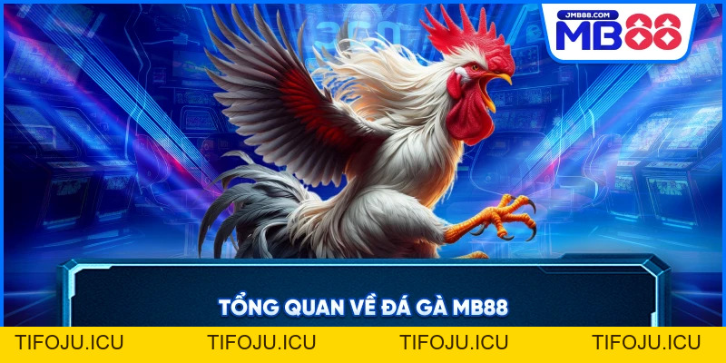 Đá Gà MB88 – Cá Cược Trực Tiếp Đỉnh Cao Uy Tín